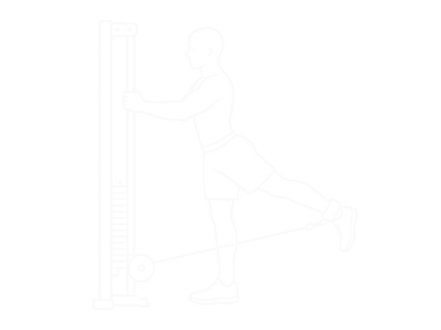 Single-Leg Cable Kickback — End