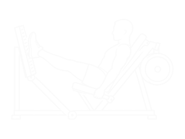 Sled 45в° Calf Press — 끝