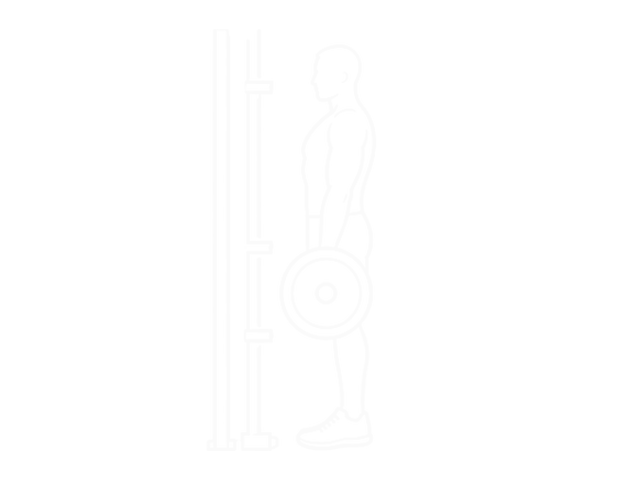 Smith Deadlift — 끝