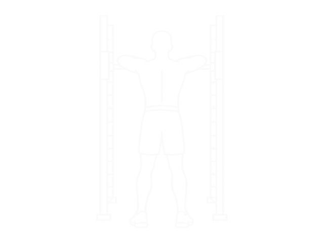 Smith Rear Delt Row — End