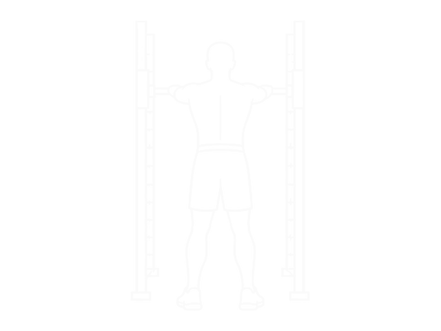 Smith Rear Delt Row — Start