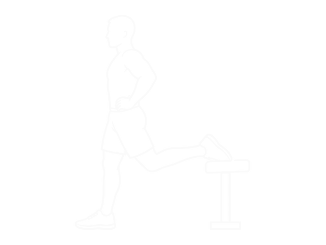 Split Squats — 시작