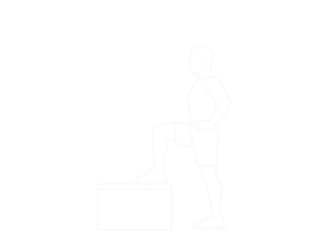 스텝업 — 시작