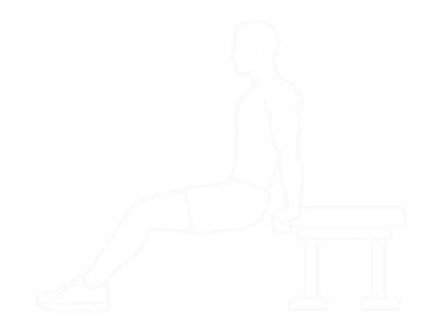 Triceps Dip (Bench Leg) — 시작