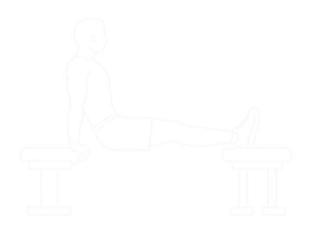 Triceps Dip (Between Benches) — 시작