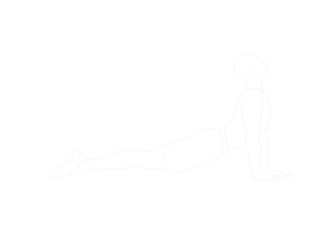 업독 — 끝