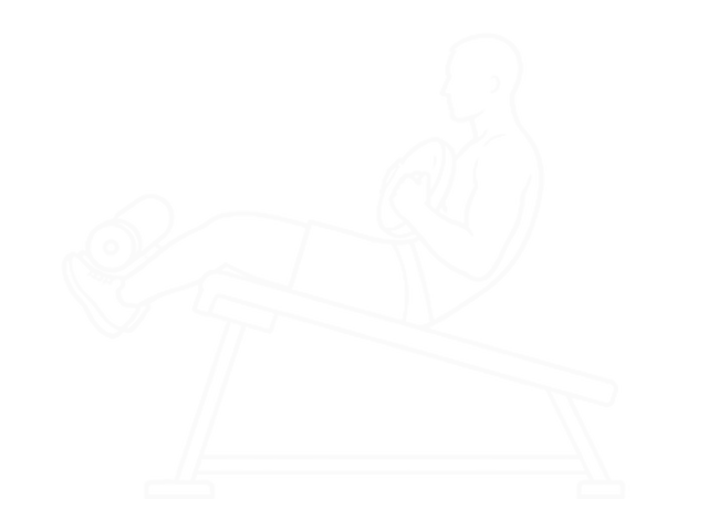 Weighted Decline Sit-Up — 끝