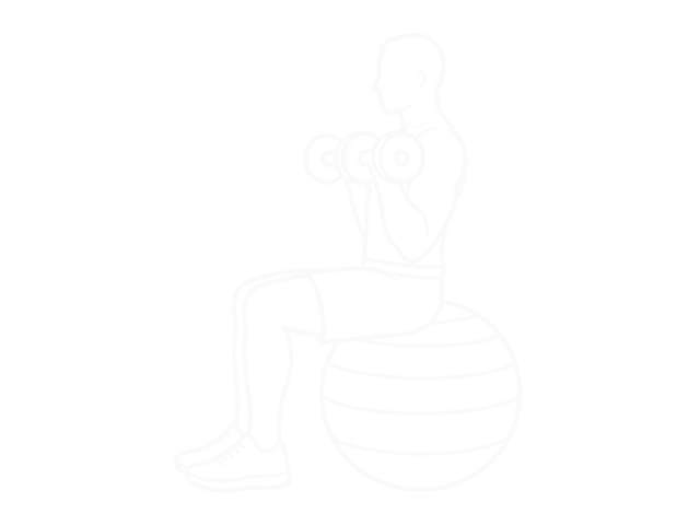 Weighted Seated Biceps Curl (On Stability Ball) — 끝