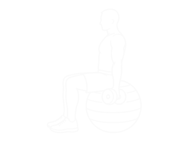 Weighted Seated Biceps Curl (On Stability Ball) — 시작